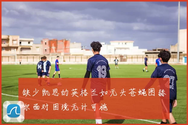 缺少凯恩的英格兰如无头苍蝇图赫尔面对困境无计可施