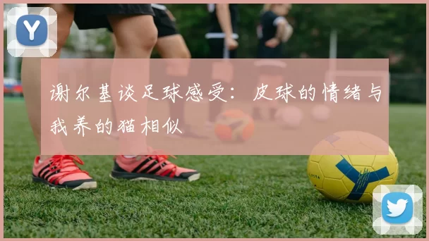 谢尔基谈足球感受：皮球的情绪与我养的猫相似